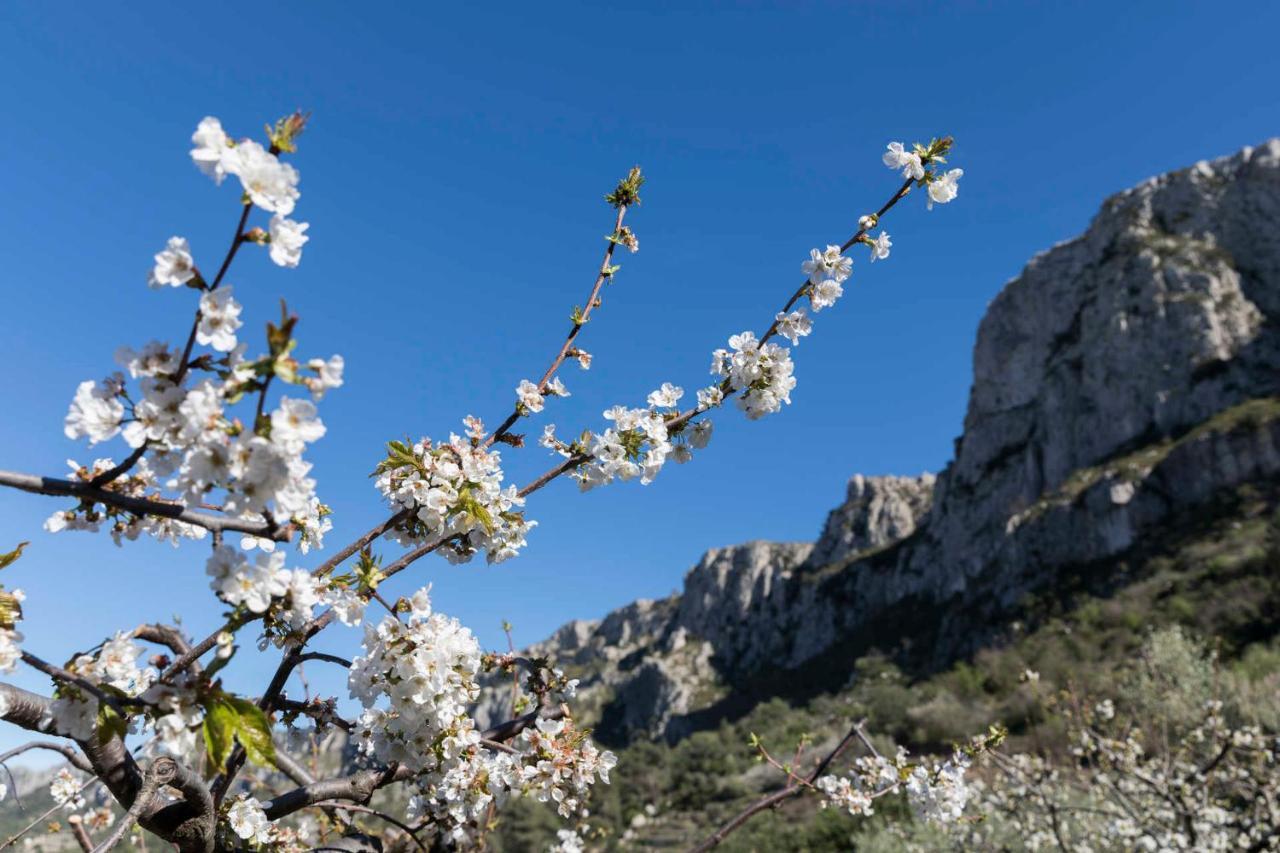Hotel El Capricho Beniali (Adults Only) Αλικάντε Εξωτερικό φωτογραφία