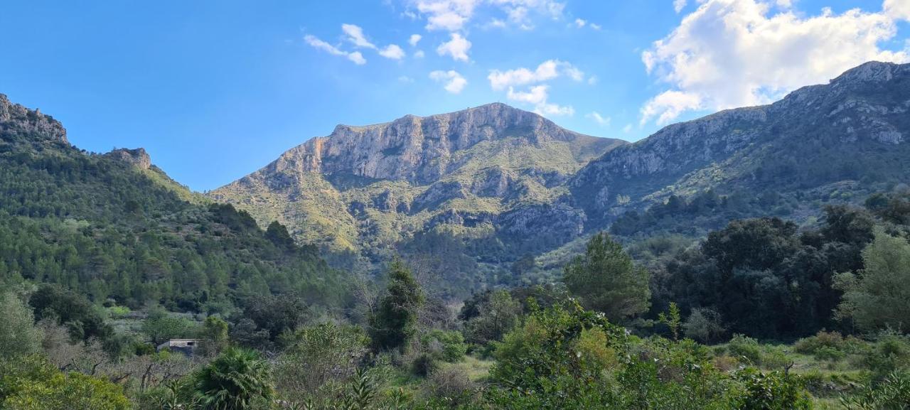 Hotel El Capricho Beniali (Adults Only) Αλικάντε Εξωτερικό φωτογραφία